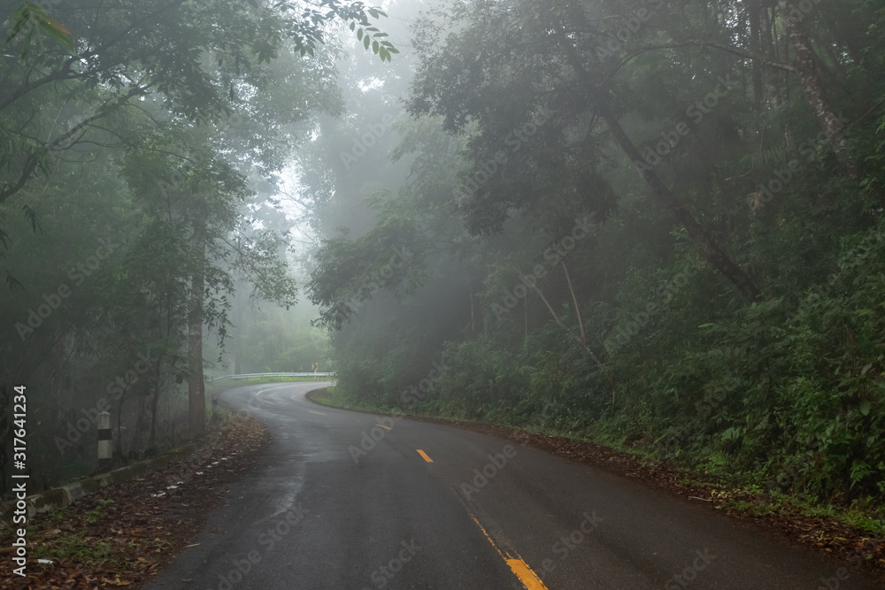 foggy rural asphalt highway perspective with white line, misty road, Road with traffic and heavy fog, bad weather driving. foggy rural asphalt highway perspective with white line, misty road, Road with traffic and heavy fog, bad weather driving.
