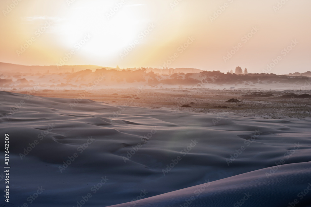 Soft desert landscape, a stripe of woods and fog on horison. Sunrise, dunes are still in the dark. Stockton Sand Dunes near the coast, Worimi Regional Park, Anna Bay, Australia