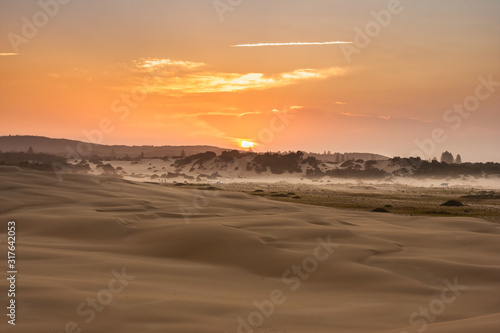 Warm orange desert landscape, a stripe of woods and fog on horison. Sunrise. Stockton Sand Dunes near the coast, Worimi Regional Park, Anna Bay, Australia © Ksenia