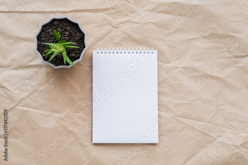 Blank empty notebook sheet and various green plants succulents cacti in pots on a background of craft paper with folds. photo