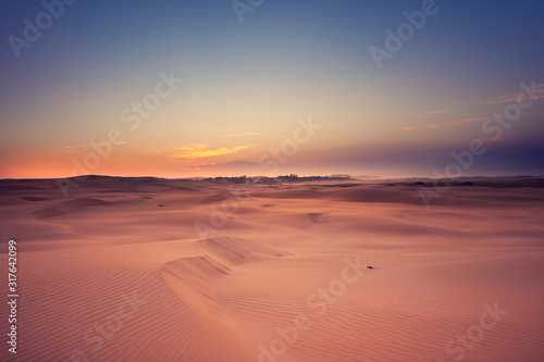 Bright contrast desert landscape. Sunset. A chain of traces stretches to the horizon. Stockton Sand Dunes near the coast, Worimi Regional Park, Anna Bay, Australia