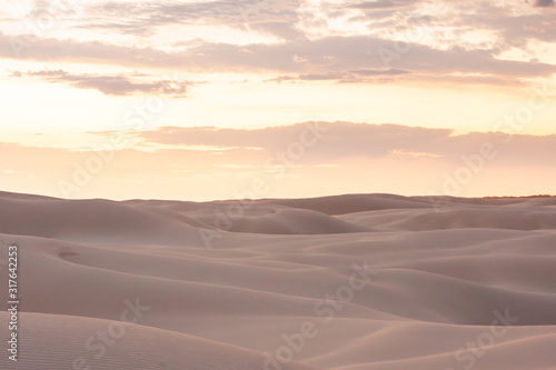 Wide boundless desert with beautiful dunes. Nothing and no one. Soft smooth shapes. Orange sky. Stockton Sand Dunes near the coast, Worimi Regional Park, Anna Bay, Australia