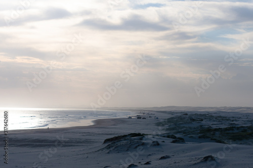 Stockton Sand Dunes near the coast  Worimi Regional Park  Anna Bay  Australia