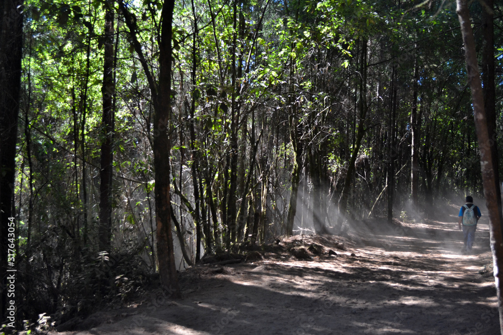 Obraz premium sanctuary