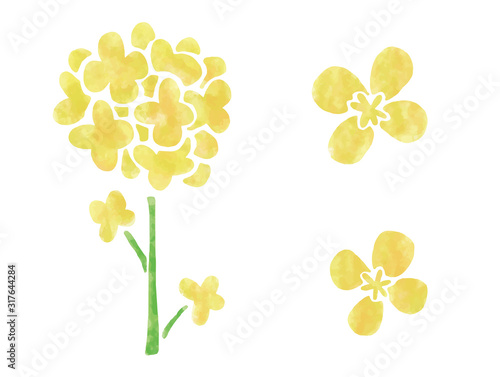 菜の花　ステンシル 風