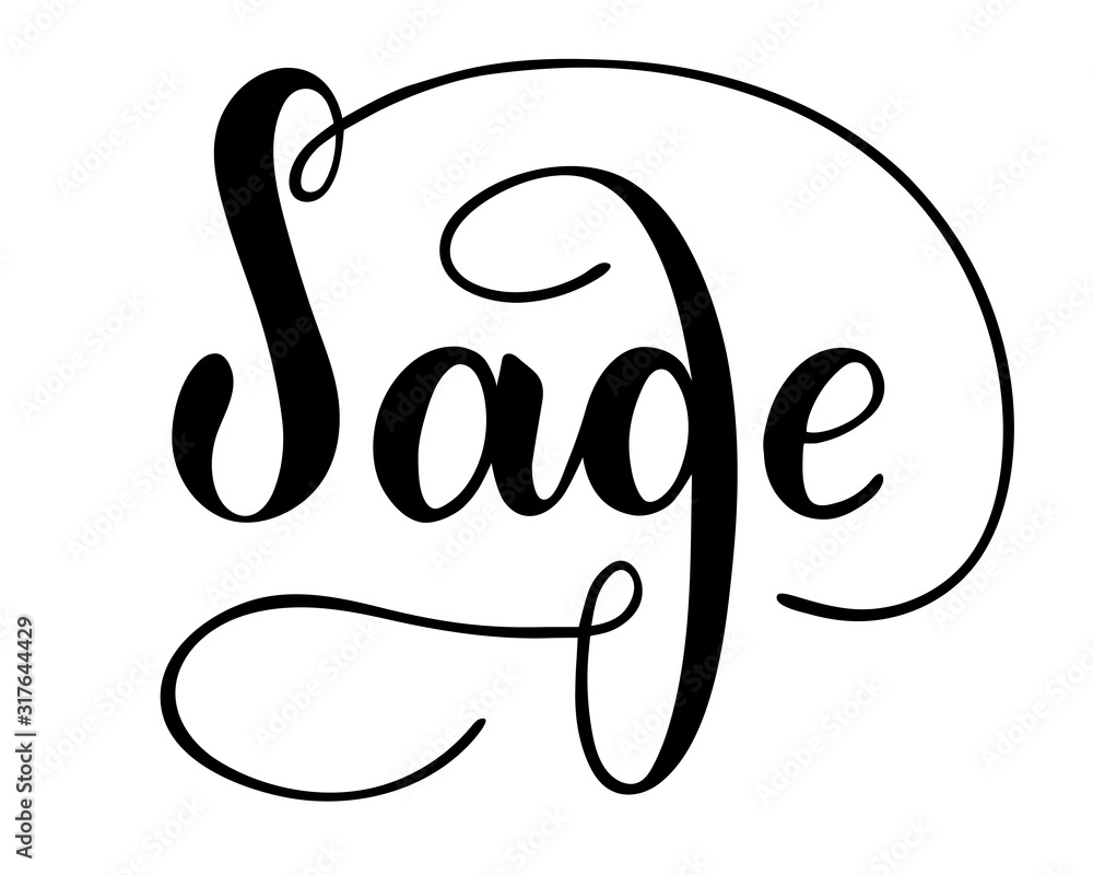 Vector hand written sage text isolated on white background. Kitchen healthy herbs and spices for cooking. Script brushpen lettering with flourishes. Handwriting for banner, poster, product label Vector hand written sage text isolated on white background. Kitchen healthy herbs and spices for cooking. Script brushpen lettering with flourishes. Handwriting for banner, poster, product label