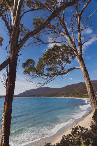 view of the beach next to the Tessalated Pavement in Eaglehack Neck in the Tasman Peninsula © faithie