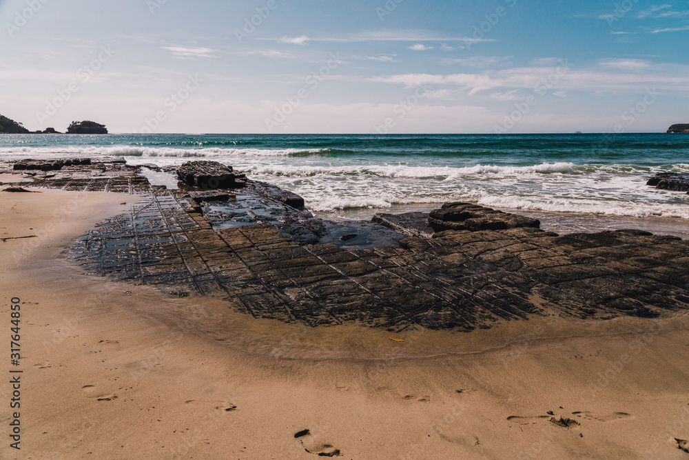 Fototapeta premium view of the Tessalated Pavement in Eaglehack Neck in the Tasman Peninsula in Tasmania