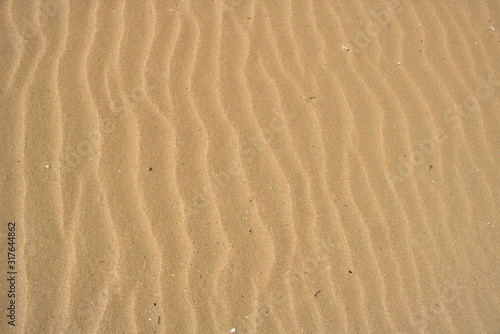 This unique photo shows the beautiful structure that the rippled sea leaves in the sand