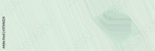 surreal designed horizontal header with light gray, ash gray and silver colors. dynamic curved lines with fluid flowing waves and curves