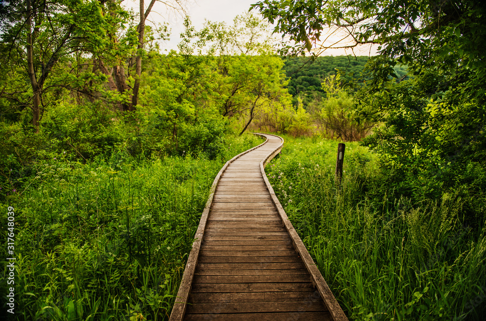 Footpath through the Appalachian Trail in New York State Footpath through the Appalachian Trail in New York State