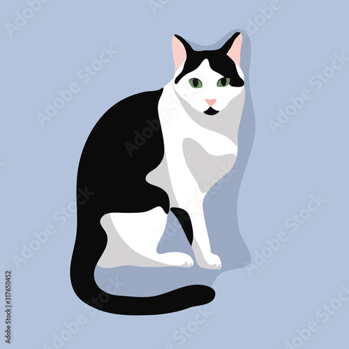Cute cat sit. Black and white cat with green eyes isolated on blue background. Stock vector illustration in flat style.