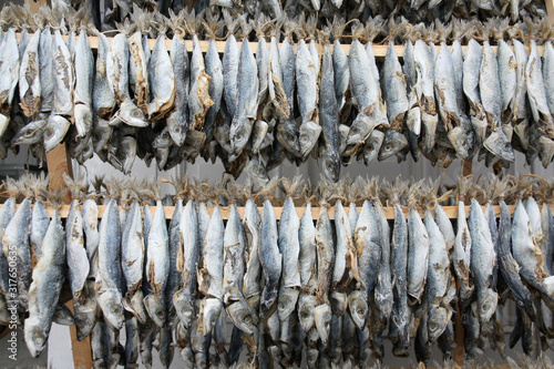 Drying fish on wooden shelf on the coast
