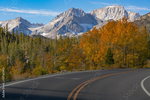 Autumn View of Trees and Mountains by Roadside