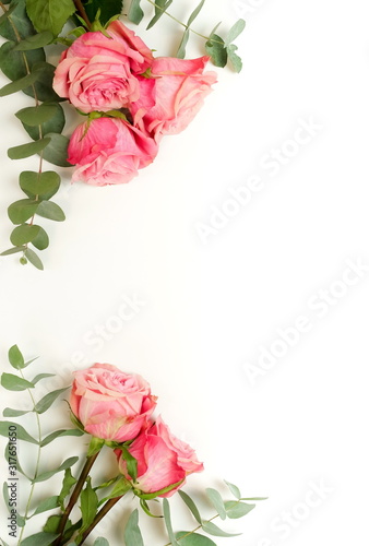 Beautiful pink roses and eucalyptus leaves  frame isolated on white backgroun...
