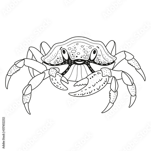 Children s coloring book sea animal crab linear simple drawing