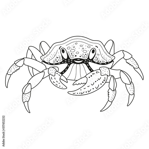 Children's coloring book sea animal crab linear simple drawing