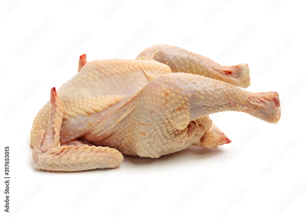 Raw fresh chicken isolated on white background 