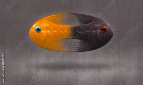 Contrast concept, twin fishes with different color surreal artwork