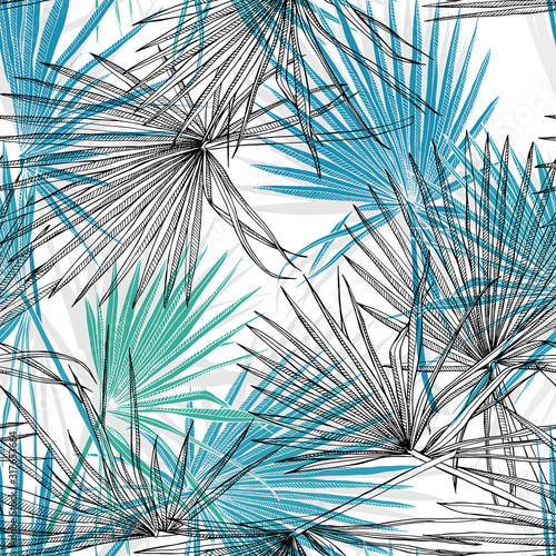 Seamless pattern with image of a Exotic leaves fan palm. Vector illustration.