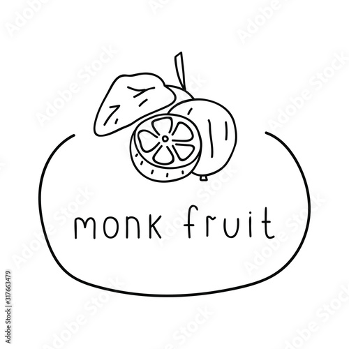 Badge - monk fruit. Vector hand drawn illustration on white background.