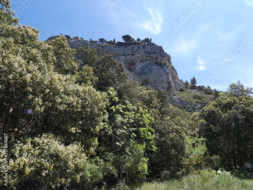 Photo of the beautiful provencal nature with trees, vegetation, a rocky hill and a pretty blue sky dotted with very light white clouds. This photo was taken in the Luberon in Provence.