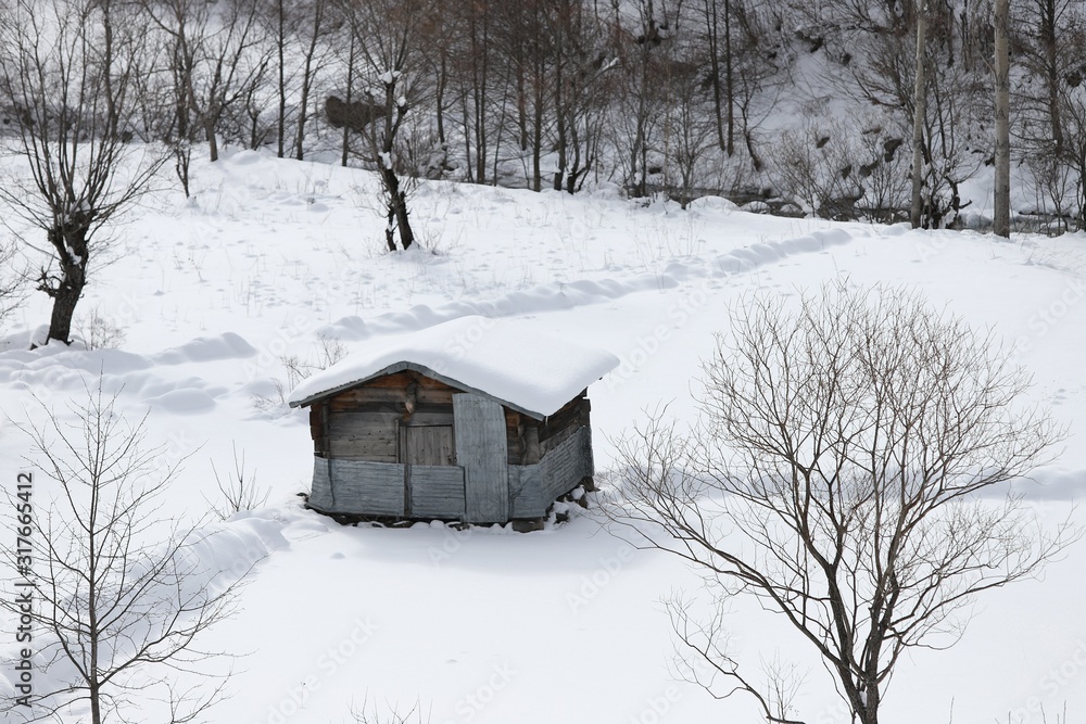 mountain landscape slopes covered with snow can be seen a tree fence and a house.savsat/artvin