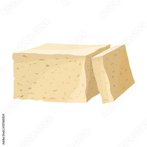 Soy Food Products Isolated on White Background Vector Illustration. Food for Good Brain Function
