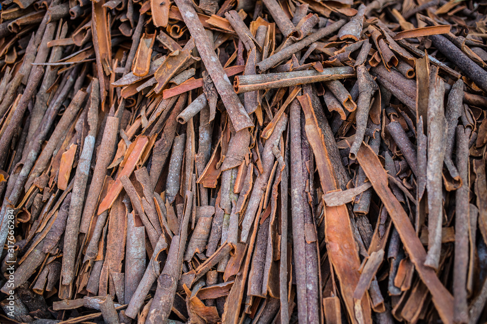 A bunch of dried cinnamon sticks