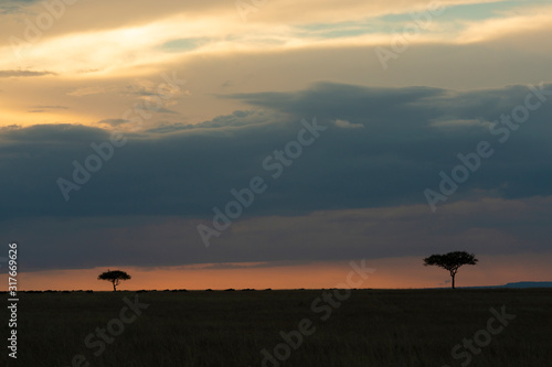 Beautiful Sunset at Masai Mara  Kenya  Africa