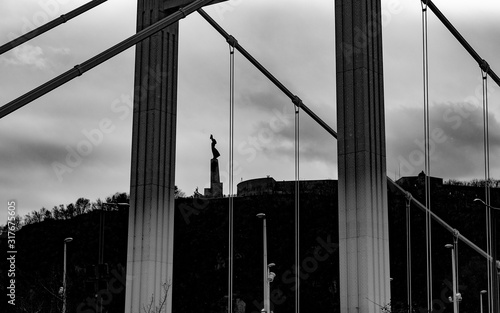 Photography Statue of Liberty on the background of Elizabeth Bridge