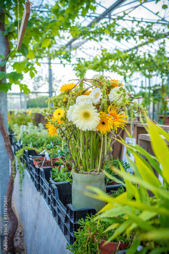flowerarrangement with gerbera flowers in shades of white and yellow in a garden  greenhouse 