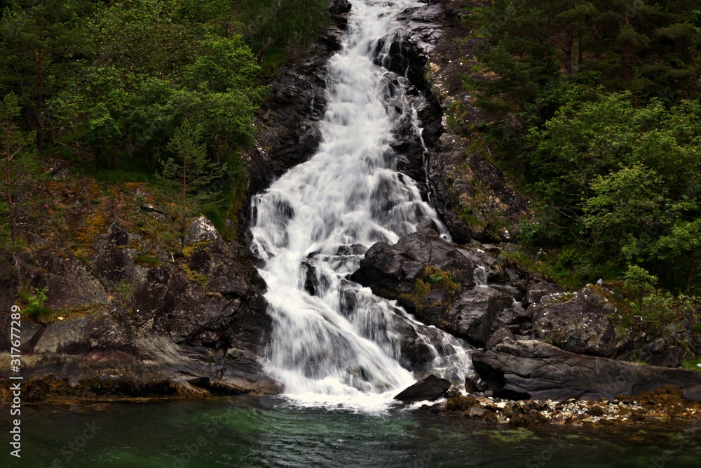 Fototapeta premium waterfall in the forest