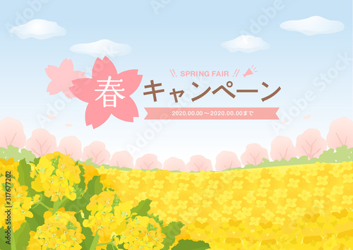 菜の花畑と桜と青空の広告背景素材