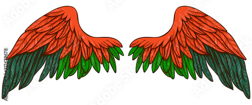 Beautuful bright fiery orange green wings, hand drawn vector