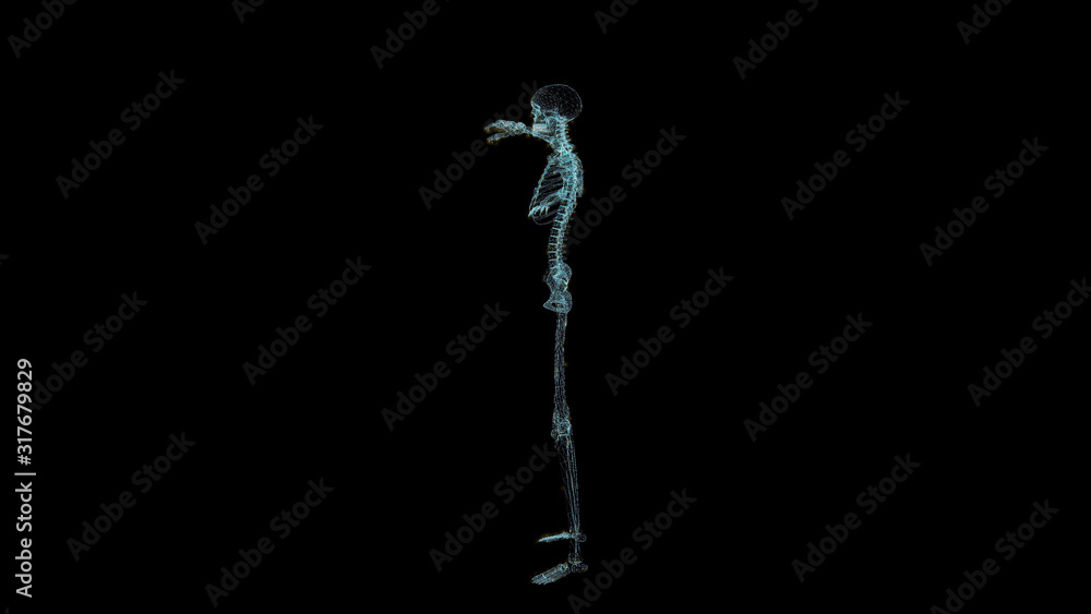Skeleton Hologram Wireframe. Nice 3D Render on a black background Skeleton Hologram Wireframe. Nice 3D Render on a black background