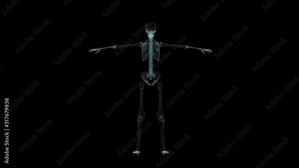 Skeleton Hologram Wireframe. Nice 3D Render on a black background Skeleton Hologram Wireframe. Nice 3D Render on a black background