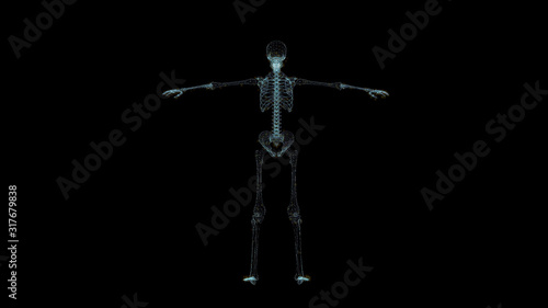 Skeleton Hologram Wireframe. Nice 3D Render on a black background