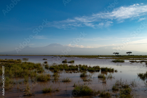 The Marshy landscape of Amboseli National Park, Kenya, Africa