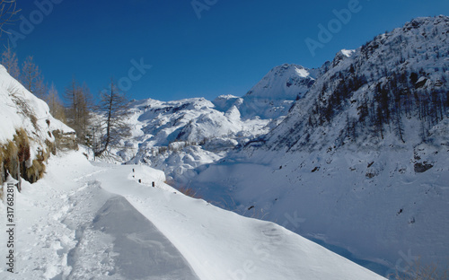 Track in the snow - Alps photo