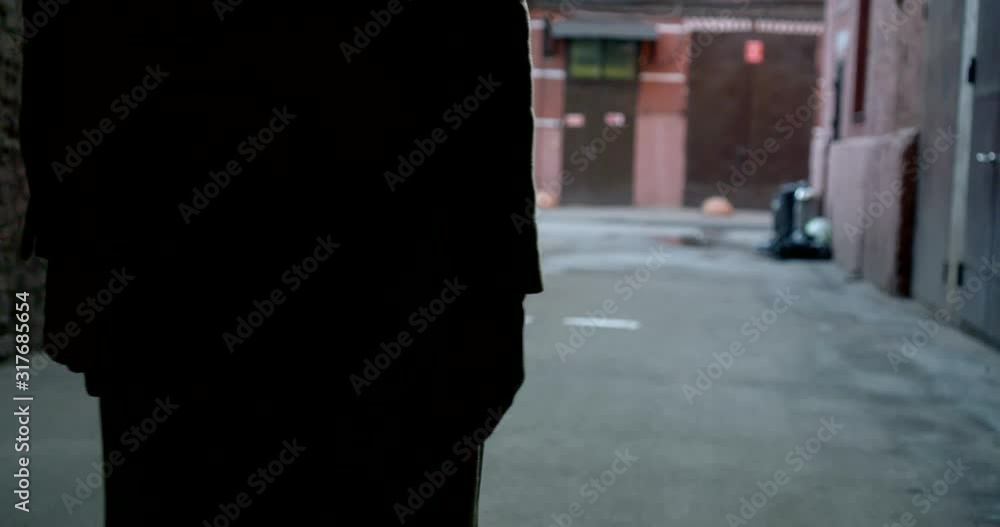 Close-up of a female silhouette walking down the street past a brick wall. The view from the back. Close-up of a female silhouette walking down the street past a brick wall. The view from the back.