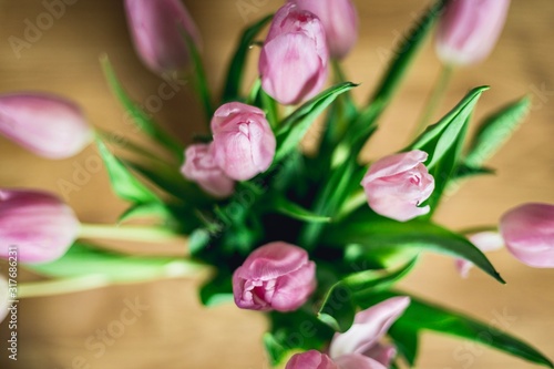 bouquet of tulips photo