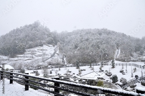 日本の冬の雪景色