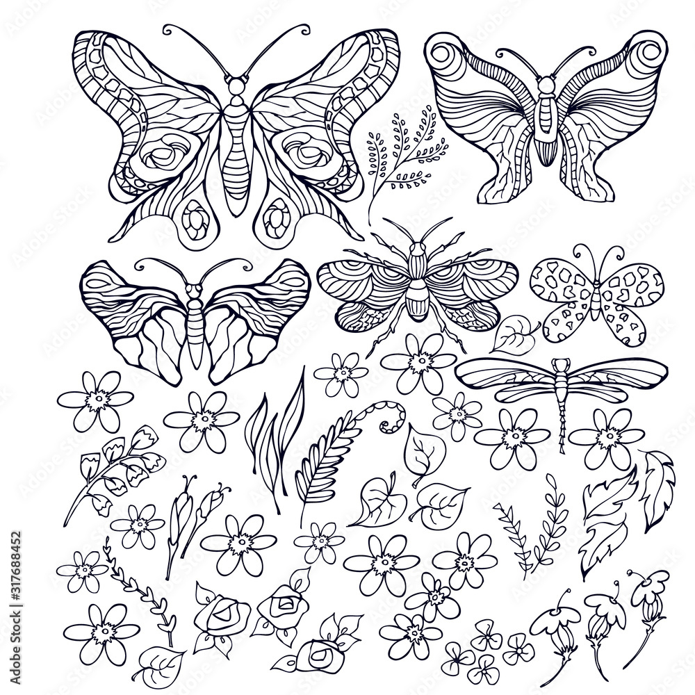 Fototapeta premium set of vector butterflies, doodle