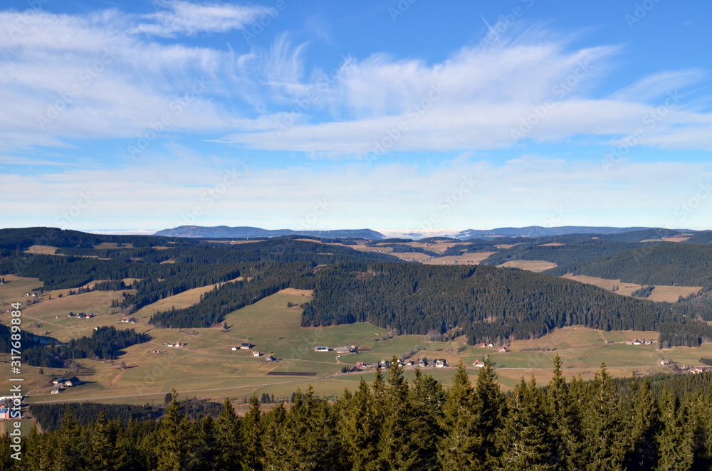 Blick vom Hochfirst auf den Schwarzwald