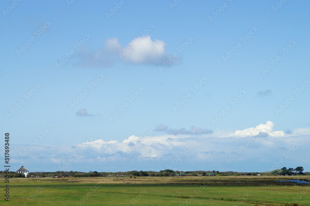Weite Schönheit von Hiddensee