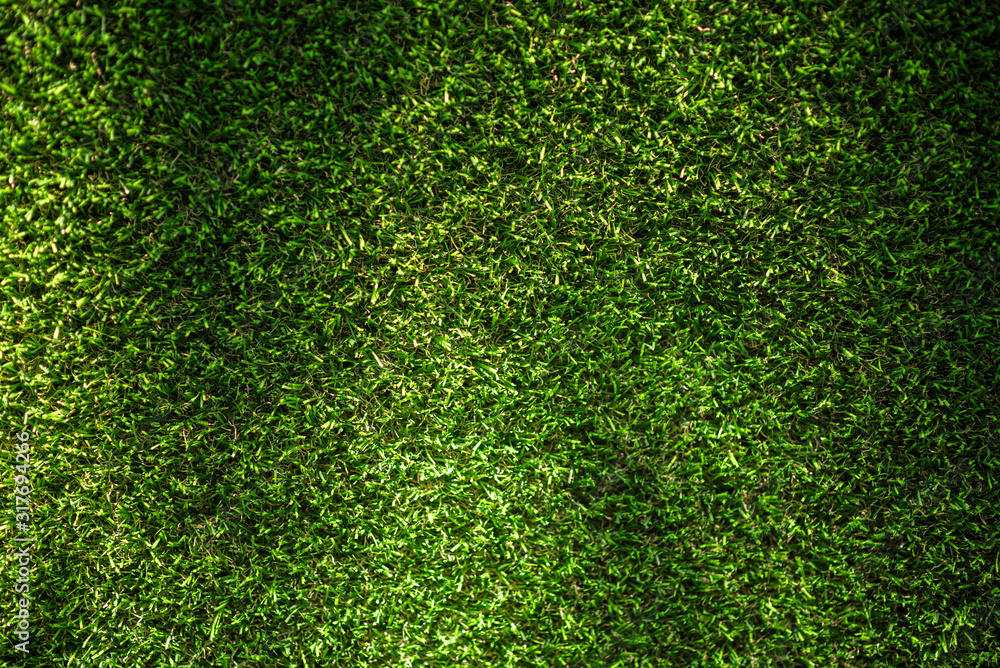 Obraz premium Green space full of green grass background