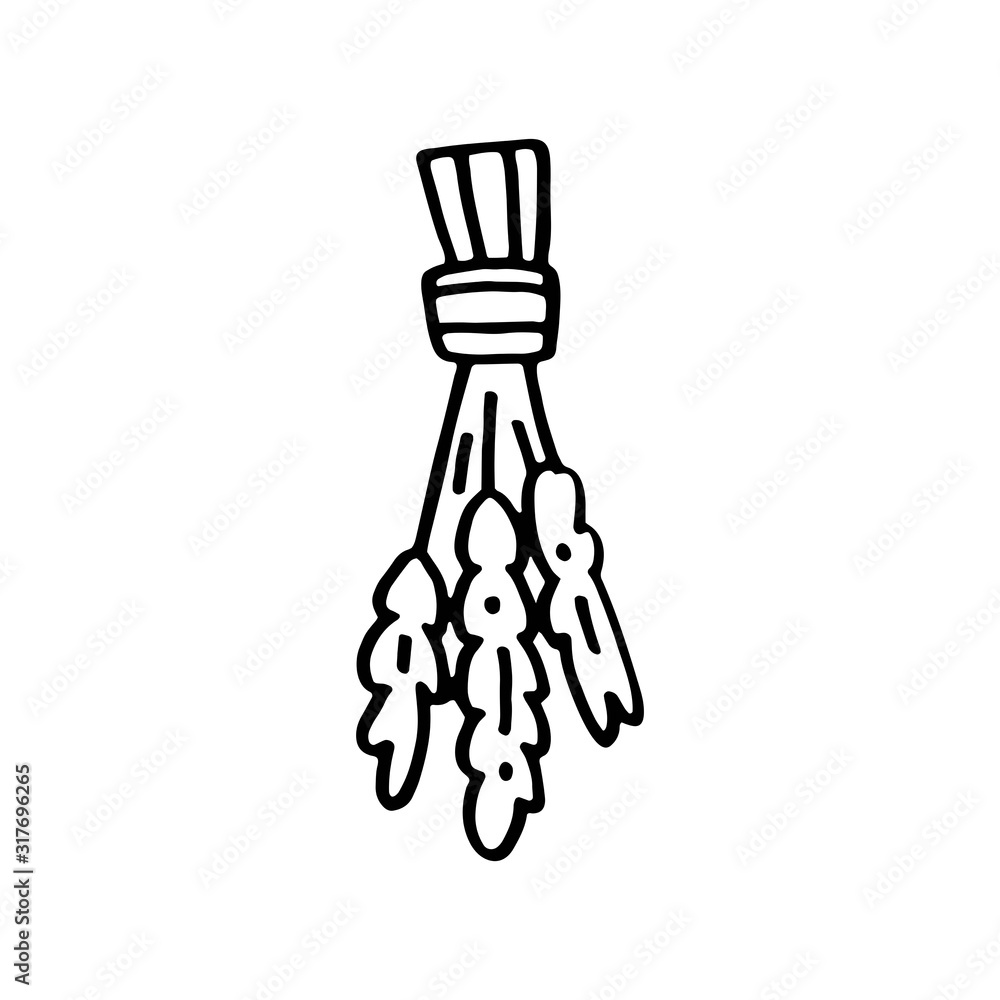 Dried herbs hand drawn doodle vector line art illustration, sticker, icon. Black monochrome design. Isolated on white background. Easy to change color. Design element. Magic, witchcraft tools. Witcher