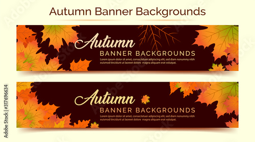 Autumn Background  Autumn leaves Background  Autumn Banner Backgrounds