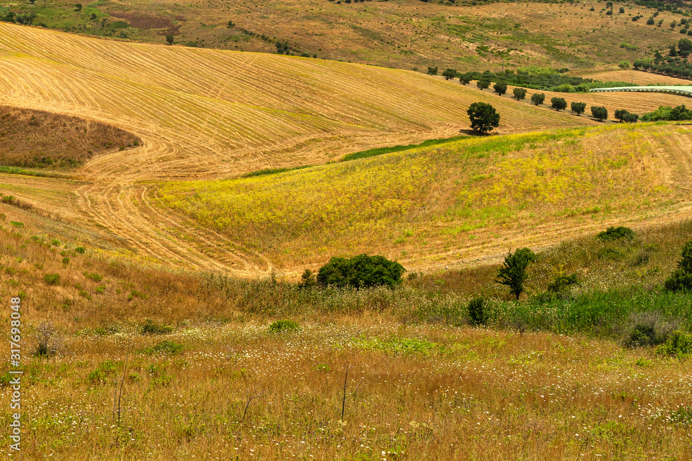 Rural landscape in Apulia at summer